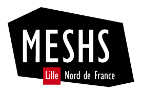 Accès au site de la MESHS